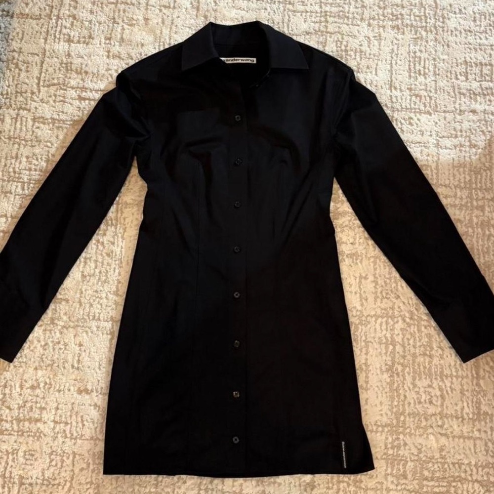 Alexander Wang Mini Dress